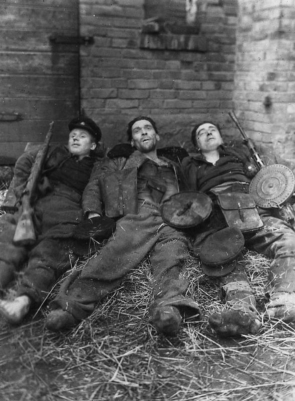 Великая чистка: борьба с литовскими "лесными братьями" Великая чистка: борьба с литовскими "лесными братьями"