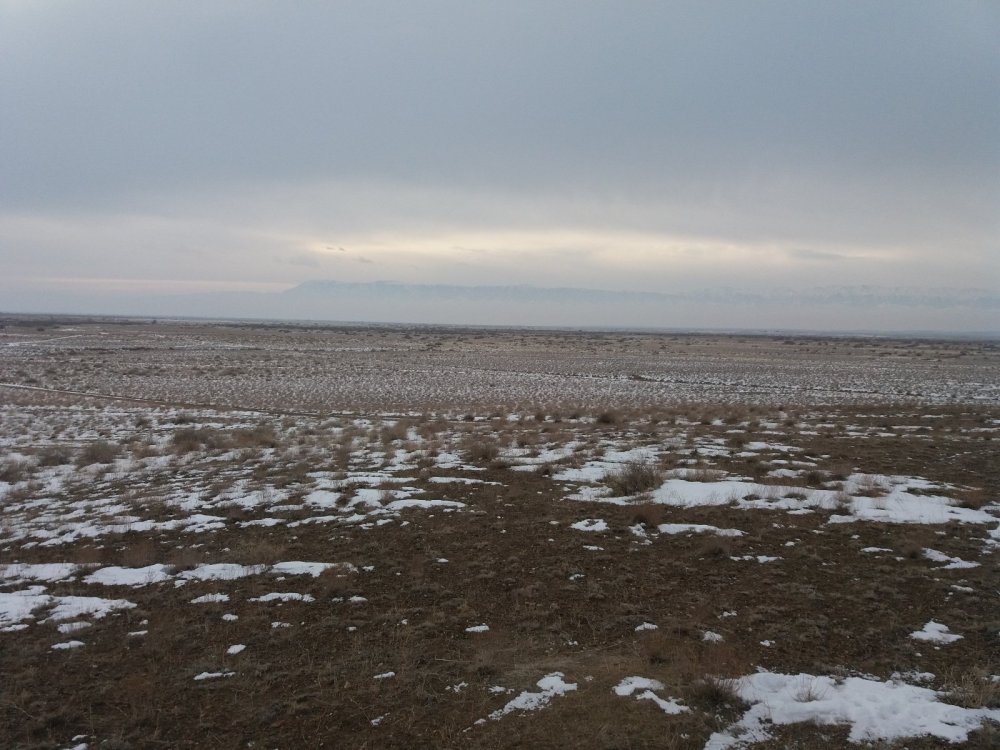 У нас в запасе еще неделя У нас в запасе еще неделя