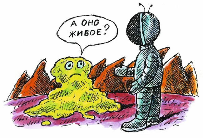 Живое и неживое. Может ли мёртвое ожить?