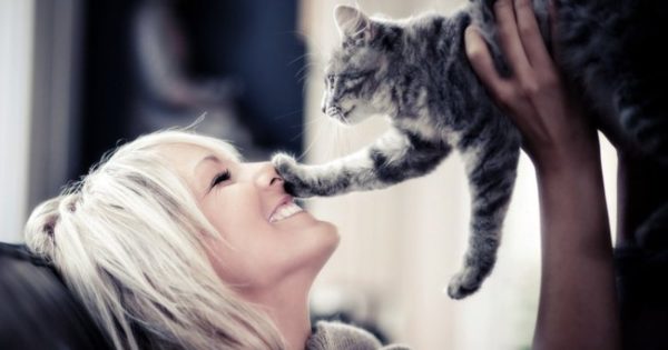 Почему кошки лучше относятся к женщинам, чем к мужчинам