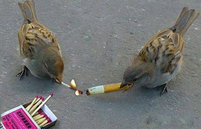 фото, интересное