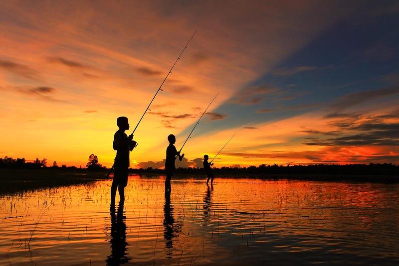 Whanset10 �������� �������� ������� � ����������� �������� �������