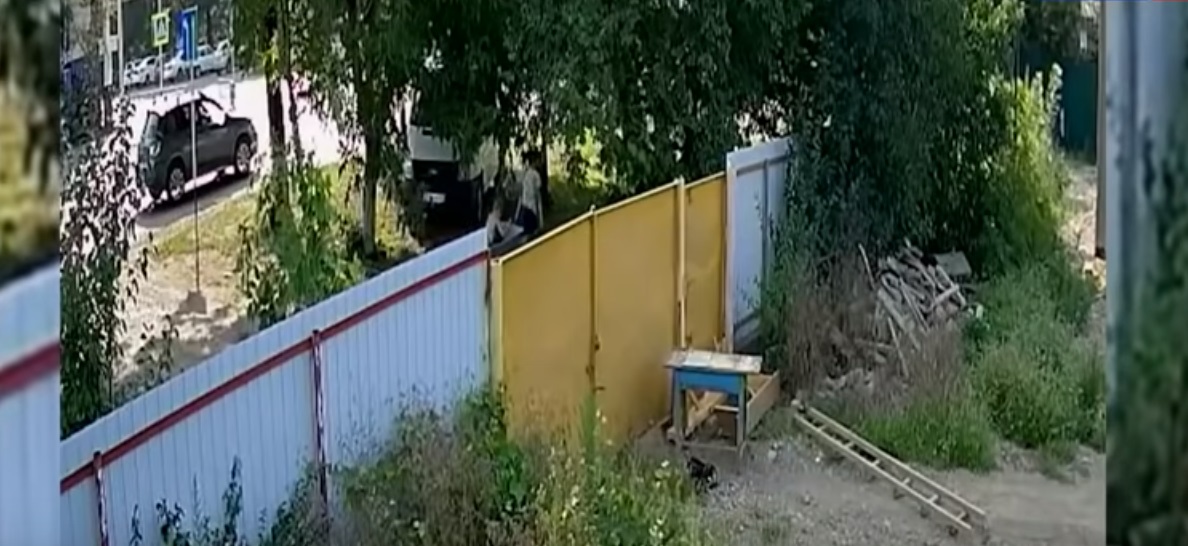 Джентльмены удачи: Видео кражи садовой тачки подростками стало хитом в Сети