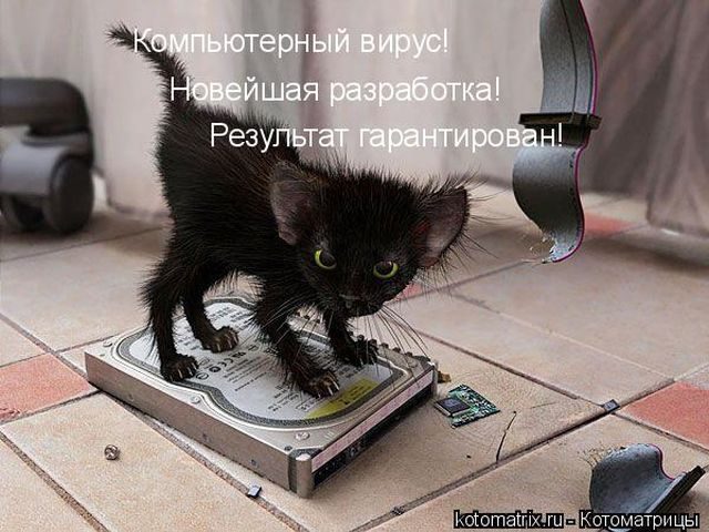 Смешные котоматрицы)) Смешные котоматрицы))