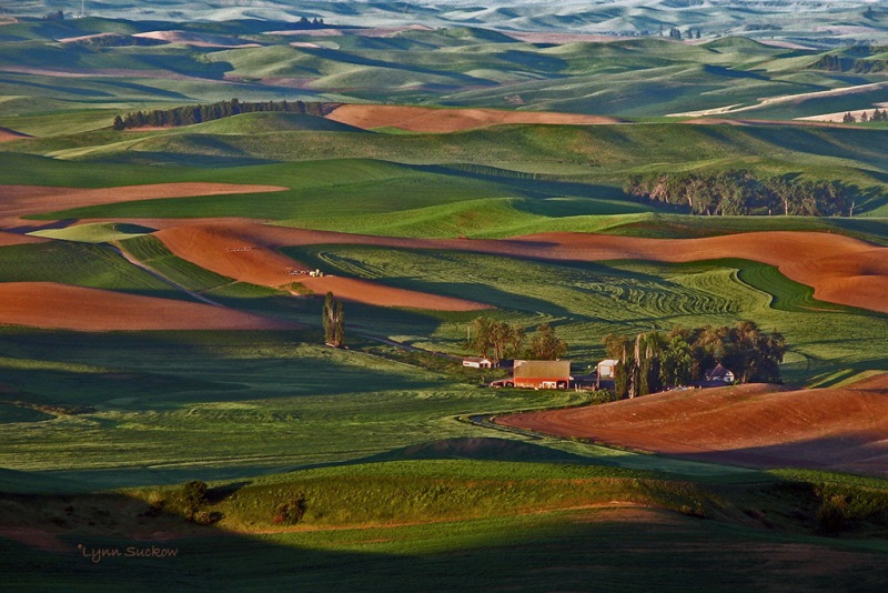 Palouse 2   