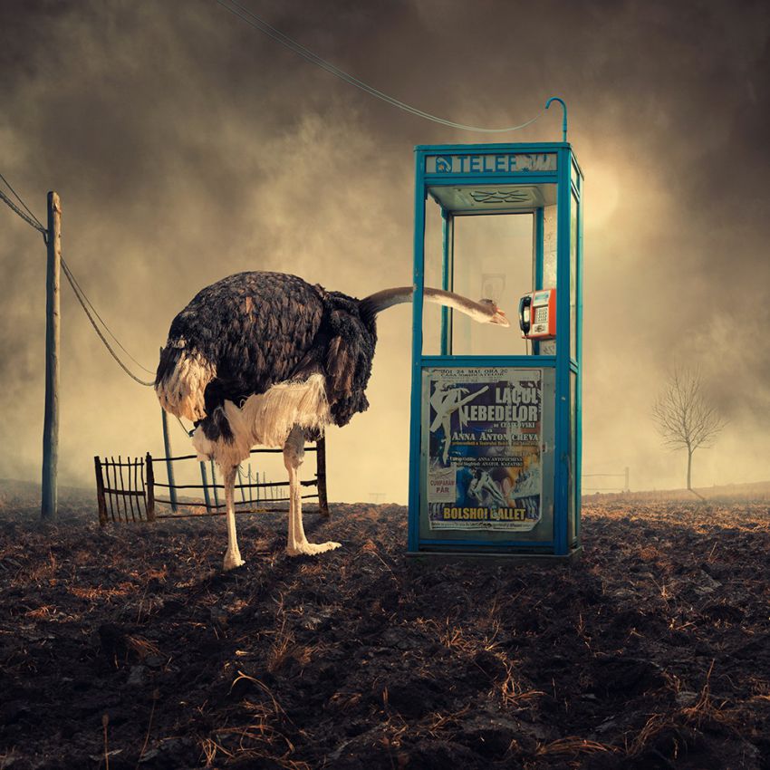 фотоманипуляции, креатив