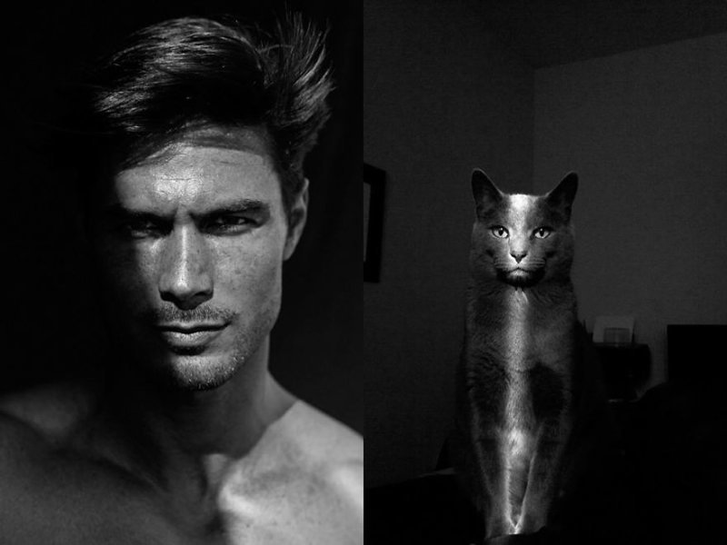 20 забавных коллажей, на которых наглядно видно, что у котов и красивых мужчин есть что-то общее 20 забавных коллажей, на которых наглядно видно, что у котов и красивых мужчин есть что-то общее животные, кот, кошки, мужчина, поза, прикол, юмор