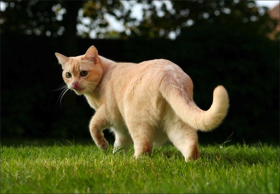 ������� ��������� � ������� ����� �����