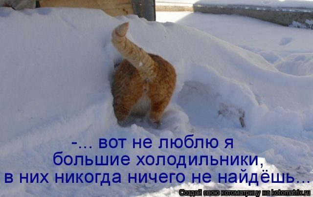Смешные котоматрицы)) Смешные котоматрицы))