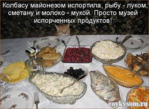 Кулинарные котоматрицы 37 (юмор)