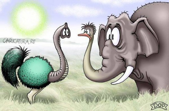 Карикатуры