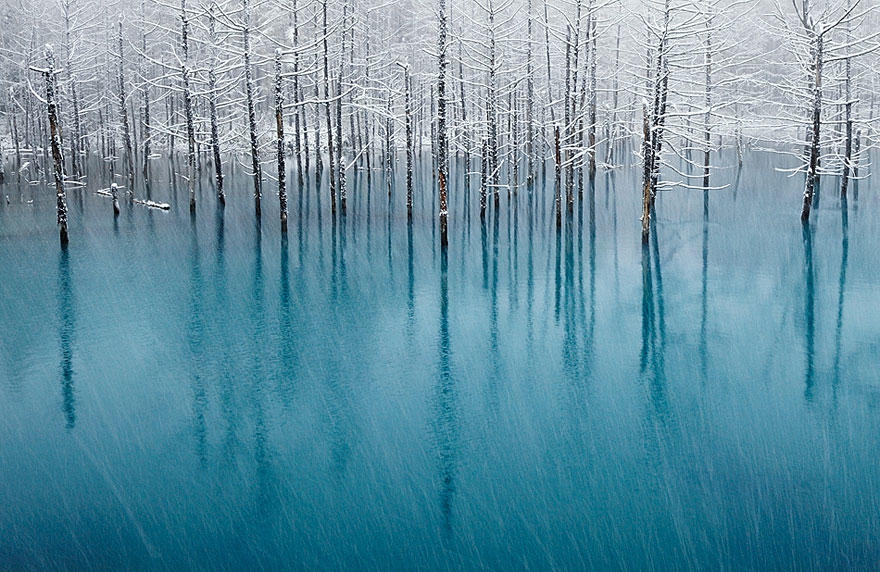 Зимние пейзажи Зимние пейзажи зимние, красивые, фото