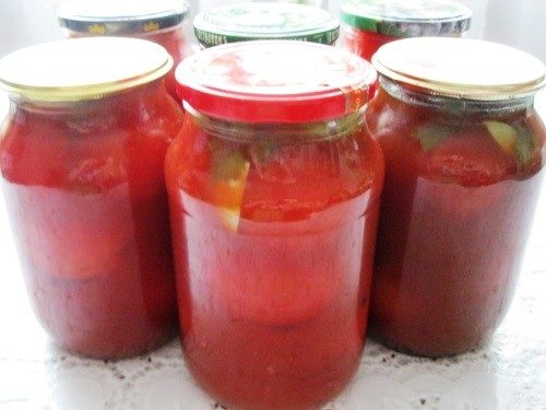 Зеленые помидоры: рецепты засолки