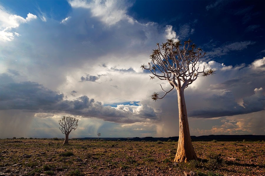 Namibia20   