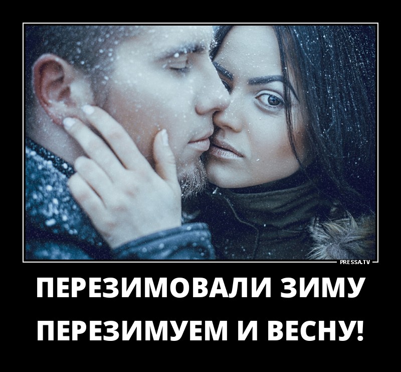 ДЕМОТИВАТОРЫ + ДЕМОТИВАТОРЫ +