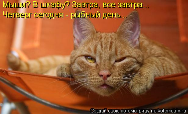  - ?  ? ,  ...   -  ...