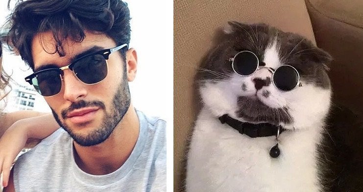 20 забавных коллажей, на которых наглядно видно, что у котов и красивых мужчин есть что-то общее 20 забавных коллажей, на которых наглядно видно, что у котов и красивых мужчин есть что-то общее животные, кот, кошки, мужчина, поза, прикол, юмор