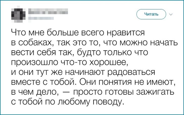 Питомцы, которые отдадут всё, лишь бы быть рядом с хозяином Питомцы, которые отдадут всё, лишь бы быть рядом с хозяином