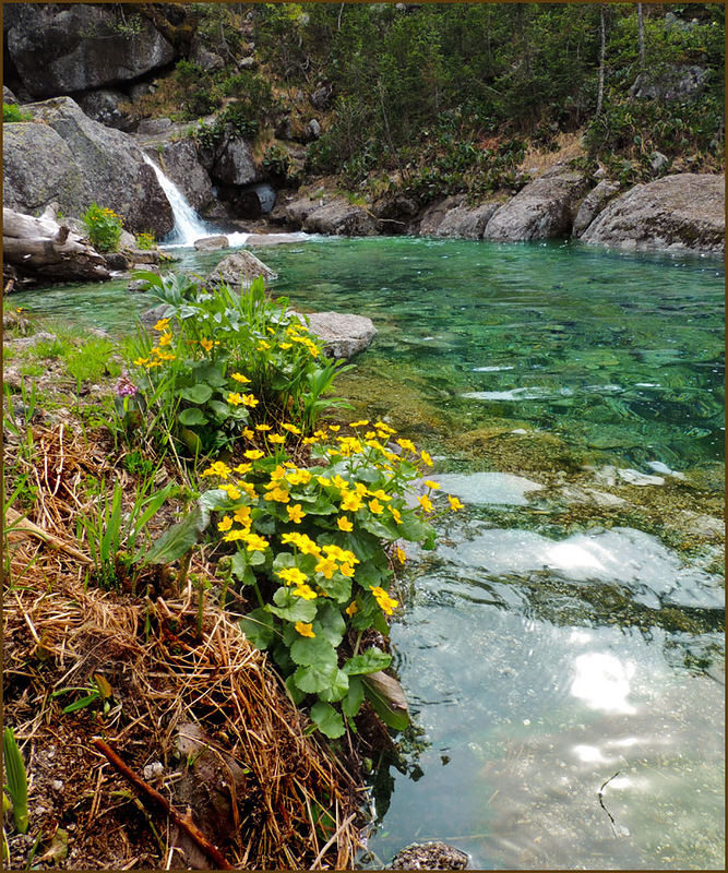 Путешествие по Ергакам Автор фотографий - Михаил фото
