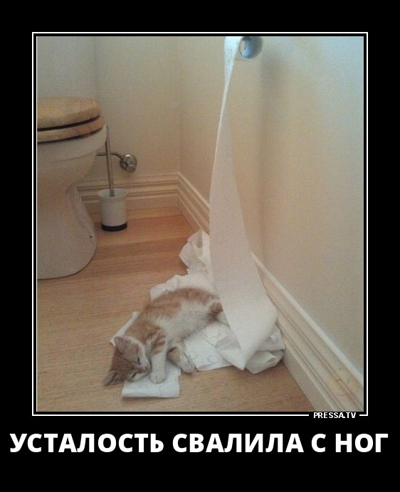 ДЕМОТИВАТОРЫ + ДЕМОТИВАТОРЫ +