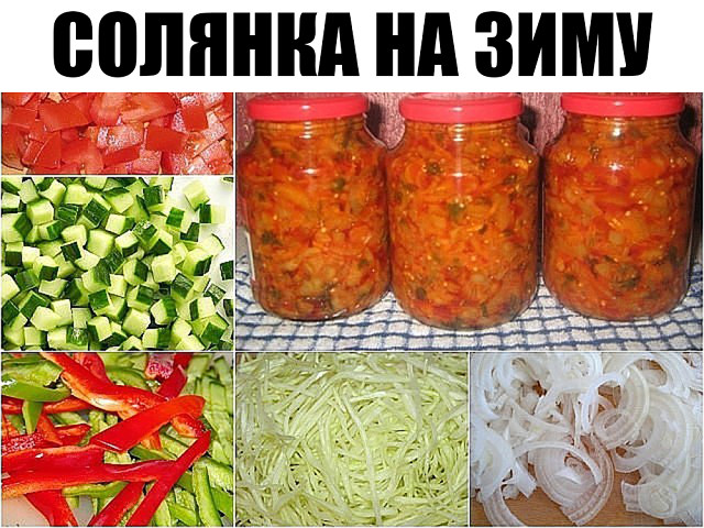 Солянка на зиму