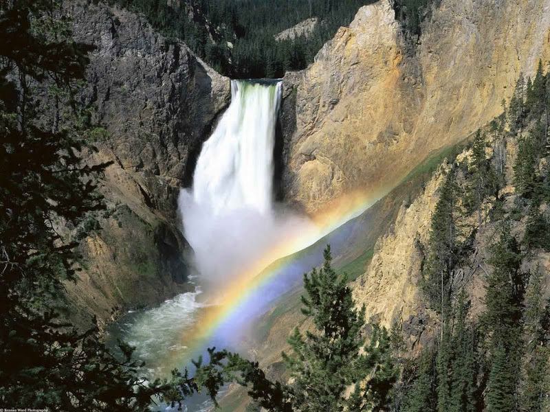 Национальный парк Йеллоустон (Yellowstone). Фото.