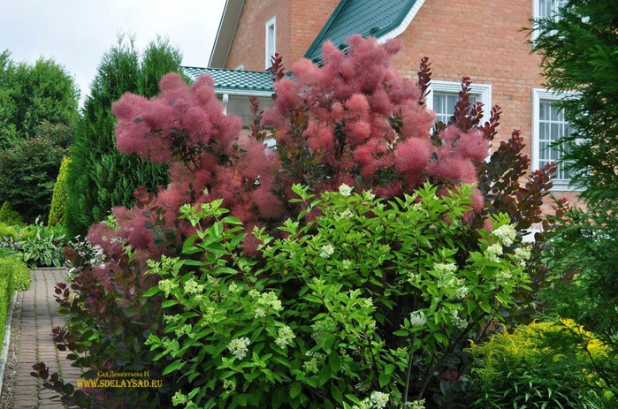 ��� ������� ����������