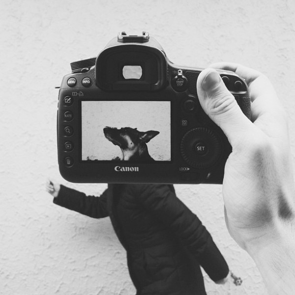 Необычный фотопроект с питомцами и их хозяевами (20 фото) Необычный фотопроект с питомцами и их хозяевами