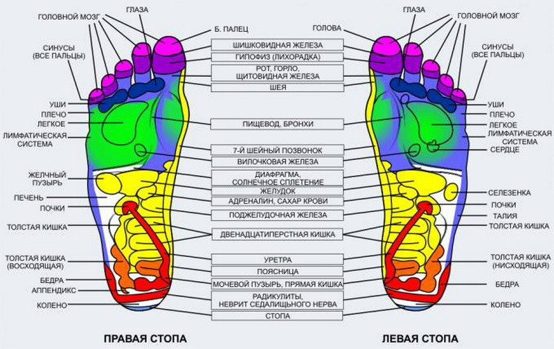 Акупунктурные точки стопы схема расположения