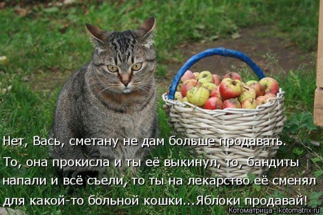 Самые смешные котоматрицы для хорошего настроения) Самые смешные котоматрицы для хорошего настроения)