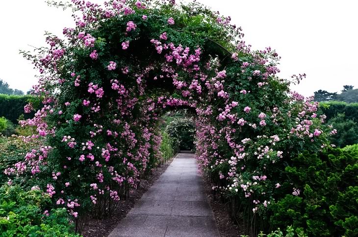     (Longwood Gardens)