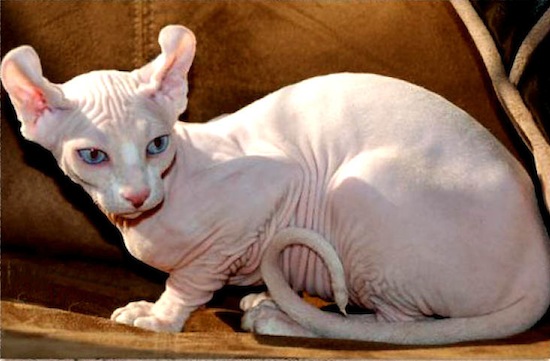 ������� ��������� � ������� ����� �����