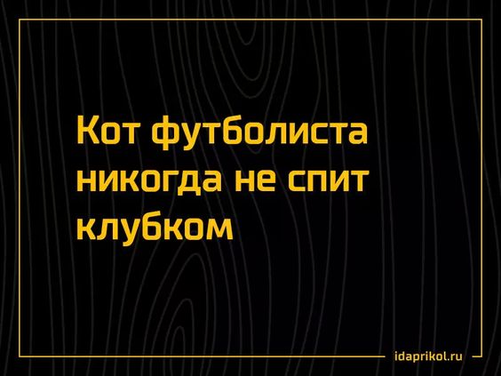 Доча, почему бутылка с виски наполовину пуста? Доча, почему бутылка с виски наполовину пуста?