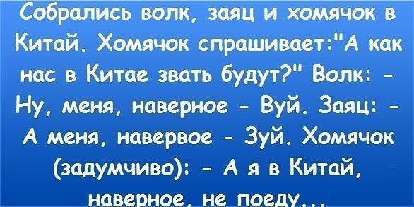 Картинки про анекдоты чтобы они были смешные Картинки про анекдоты чтобы они были смешные