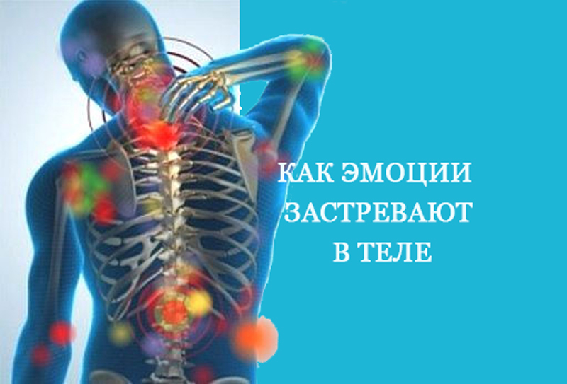 Как эмоции застревают в теле Как эмоции застревают в теле