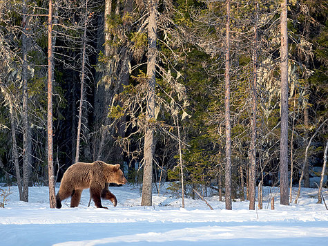 ФОТО SHUTTERSTOCK.COM
ФОТО SHUTTERSTOCK.COM