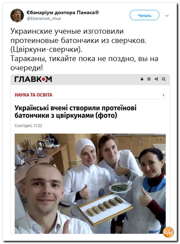 48.jpg