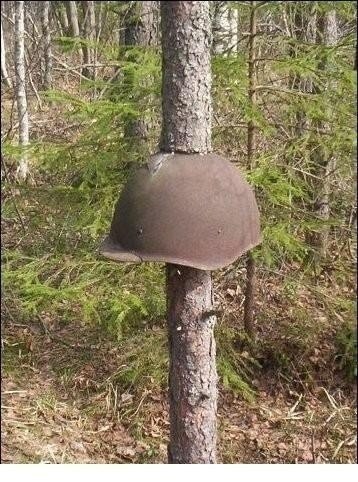 Эхо войны Эхо войны