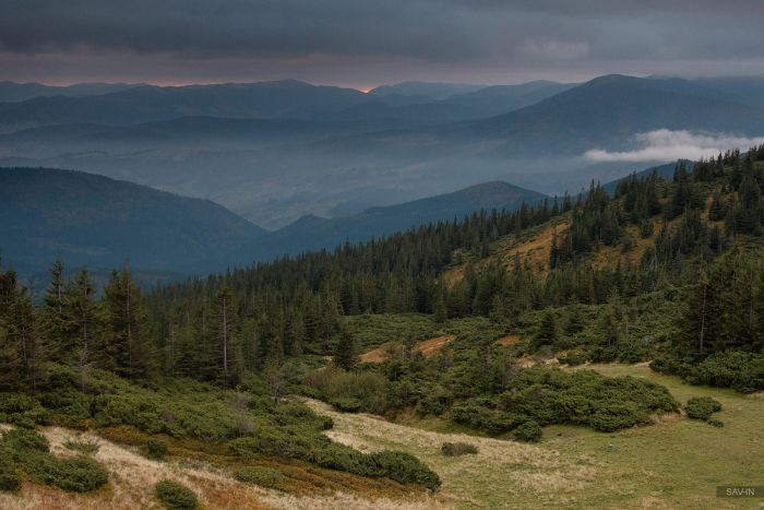 Осень в Крыму и Карпатах (103 фото)