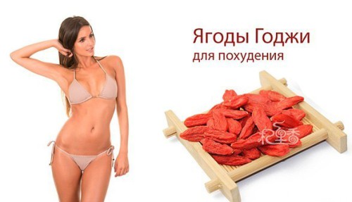 Ягоды Годжи правда или обман
