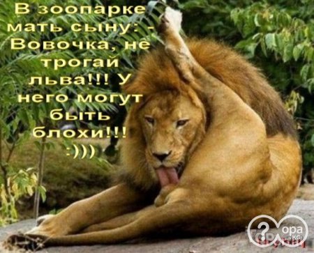 Анекдоты новые, баянистые, разные... Анекдоты новые, баянистые, разные...