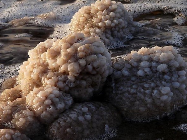 9 интересных фактов о Мертвом море