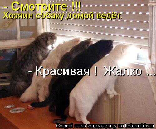  -    . -  !!! -  !  ...
