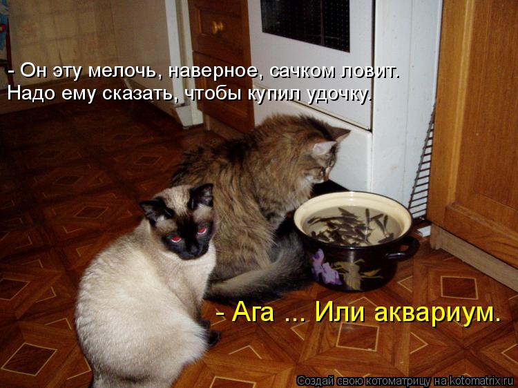  - -   , ,  .   ,  