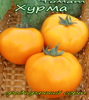 Томат Хурма