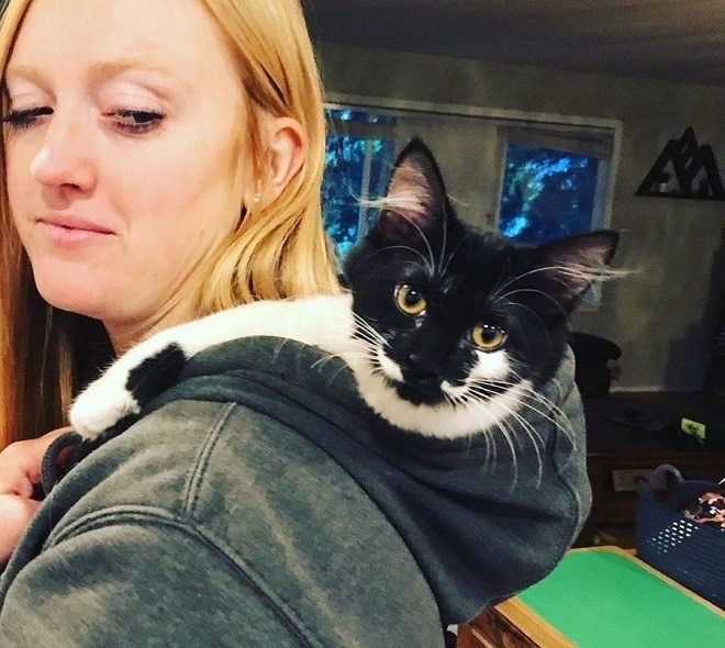 Кошка в капюшоне «Не забудьте обнять меня!»: котенок все время стремится в теплые объятия хозяев