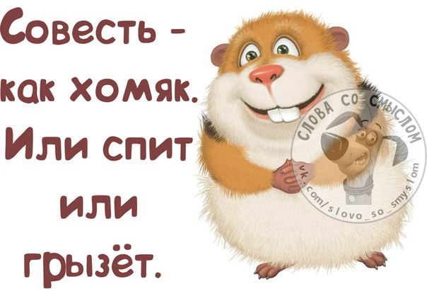 Мне сегодня сказали, что я офигенная! Или...