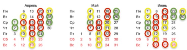 Когда лучше всего пересадить помидоры в теплицу и открытый грунт: выбираем оптимальное время