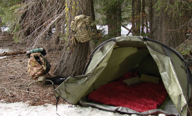Обогреваем палатку без печи: лесник показал метод