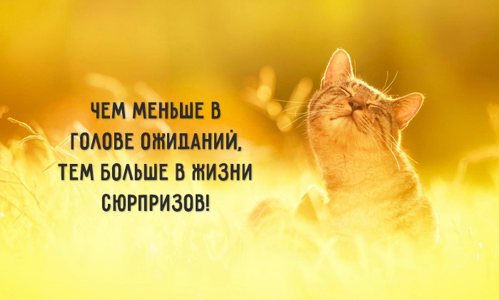 Одной фразой Одной фразой